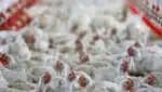 Japão interrompe importações de produtos de origem animal de Goiás e Mato Grosso