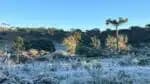 A temperatura caiu para -8°C em Santa Catarina, estabelecendo um novo recorde de frio no ano