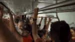 Documentário do Brasil de Fato sobre a tarifa zero no transporte terá exibição e discussão em Recife, na quarta-feira