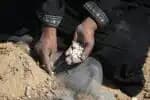 Caminhão carregado de assistência humanitária capota em Gaza, ceifando a vida de 20 pessoas