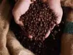 Brasil busca reduzir tarifa de importação de café para os EUA