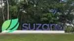 Suzano registra lucro líquido de R$ 5 bilhões
