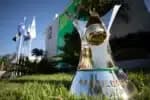 Palmeiras e Flamengo em disputa acirrada pelo título do Brasileirão, aponta UFMG