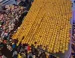 Polícia descobre mais de US$ 6 mil em peças de Lego na casa de ladrão nos EUA