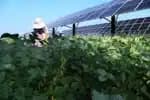 Prefeitos paulistas em Zhejiang: conheça inovações agrícolas e de IA da China