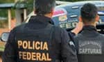 PF em Guarulhos desmantela tráfico de animais silvestres e apreende 18 pássaros