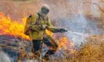 Incêndio na Chapada dos Veadeiros é intensificado por raios; ICMBio aponta 1,5 mil hectares afetados