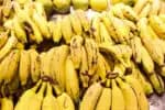 Deputada Rosana Valle propõe proibição da importação de bananas no Brasil