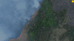 Flávio Dino exige detalhes sobre combate ao crime na Amazônia; o que o STF quer saber?