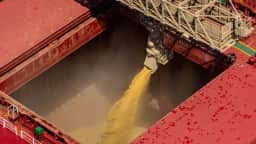 China importa soja em Março: O que causou o baixo crescimento e o que esperar?