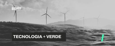 Imagem do post O que são as ‘startups verdes’ Greentech e por que estão se tornando valiosas?