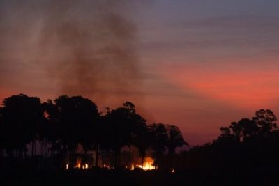 Imagem do post O Fundo Amazônia aumenta fundos para lutar contra incêndios em florestas