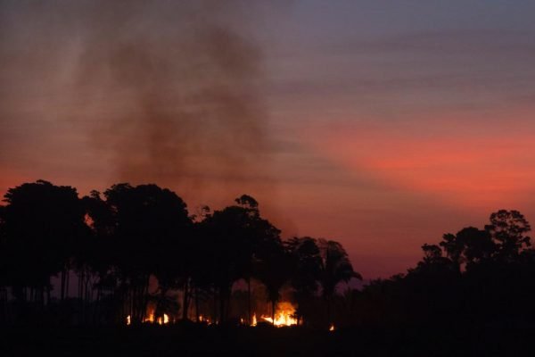 O Fundo Amazônia aumenta fundos para lutar contra incêndios em florestas
