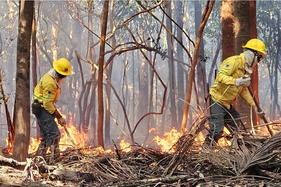 O governo diz que as queimadas no Amazonas causaram aproximadamente 11 mil multas