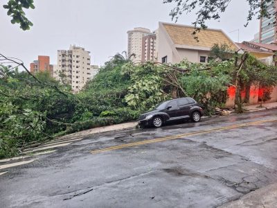 Imagem do post Ventos chegam a 103 km/h durante tempestade em São Paulo