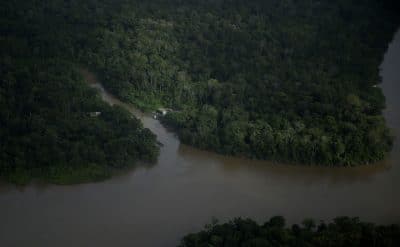 Imagem do post A pesquisa mostra que as pessoas apoiam a exploração de petróleo na foz do Amazonas se tiver licença