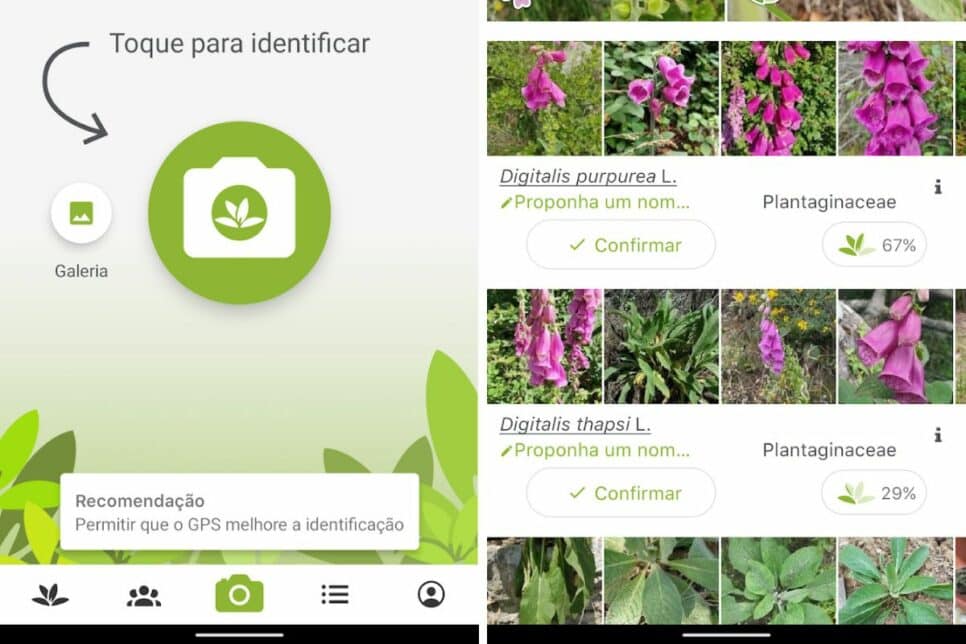 Descubra o Mundo das Plantas com Apenas uma Foto – Baixe o Pl@ntNet Agora!