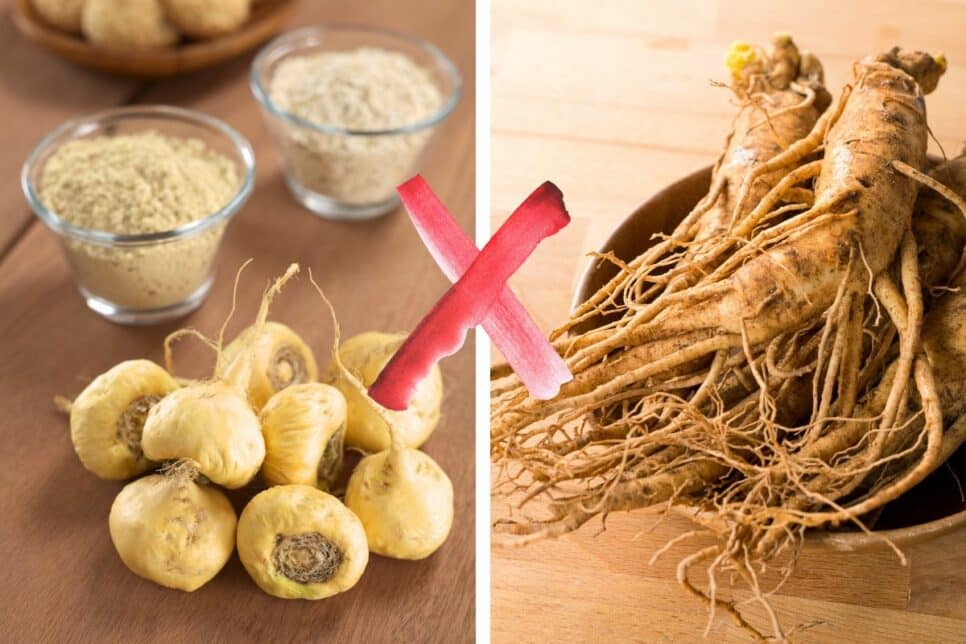 1. Maca Peruana vs. Ginseng